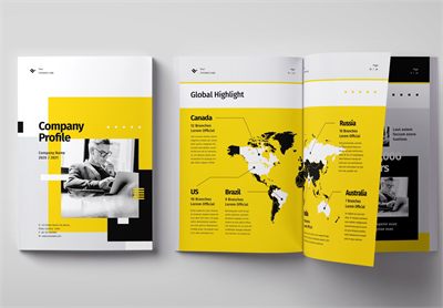 Printed company profile booklet and folded leaflets laid out on a desk