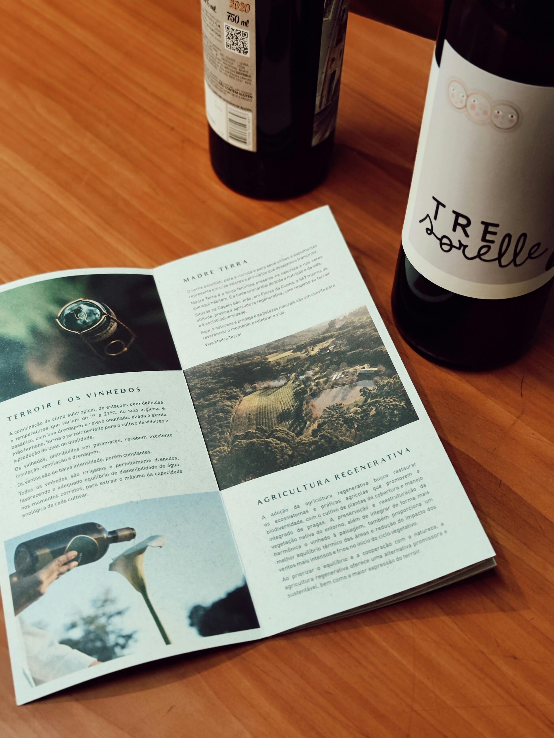 Brochures
